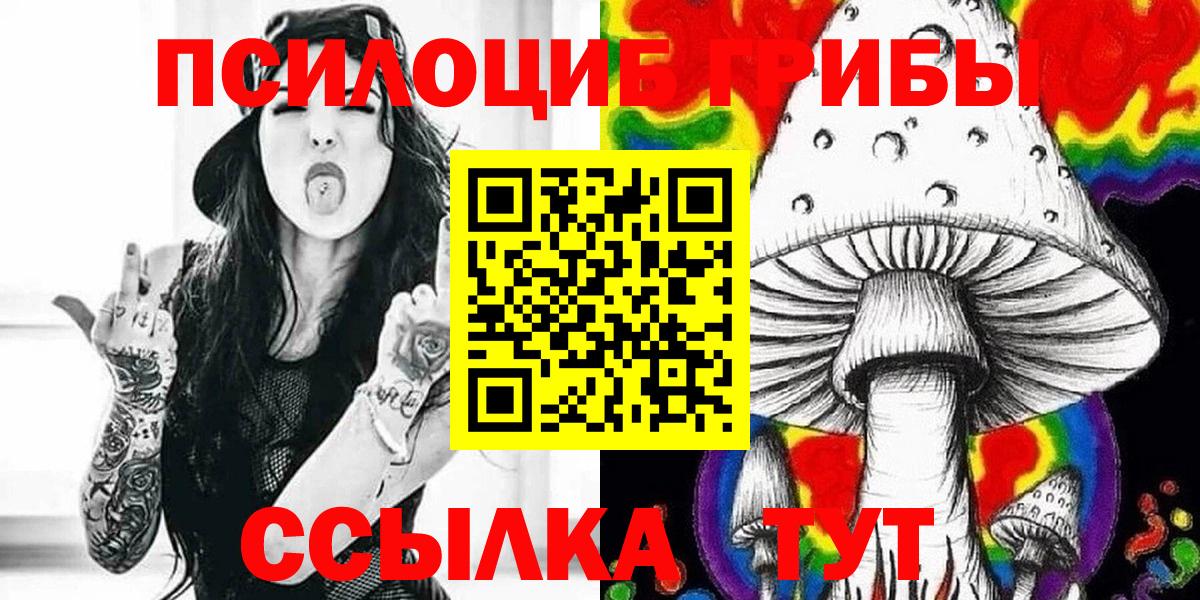 Знаменск  Псилоцибиновые грибы Psilocybe  наркотики  Вход с VPN 